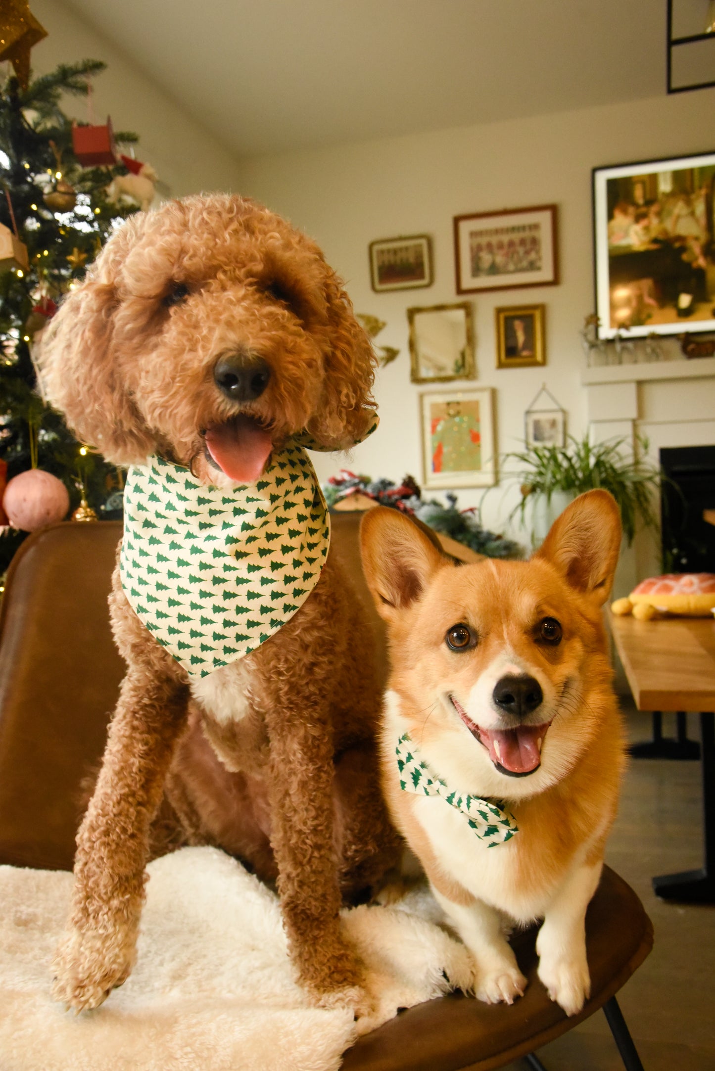 Frosty Festivities Reversible Dog Bandana