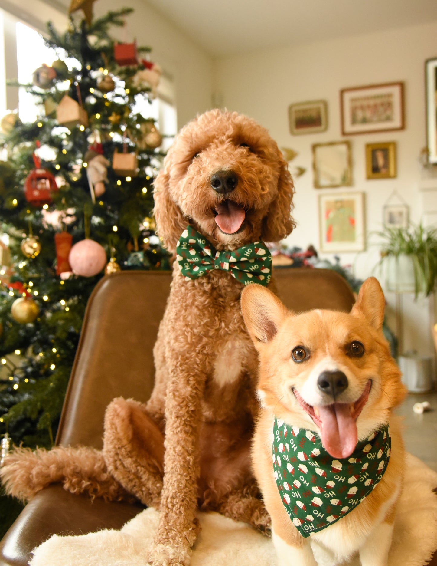 HOHO Christmas Reversible Dog Bandana