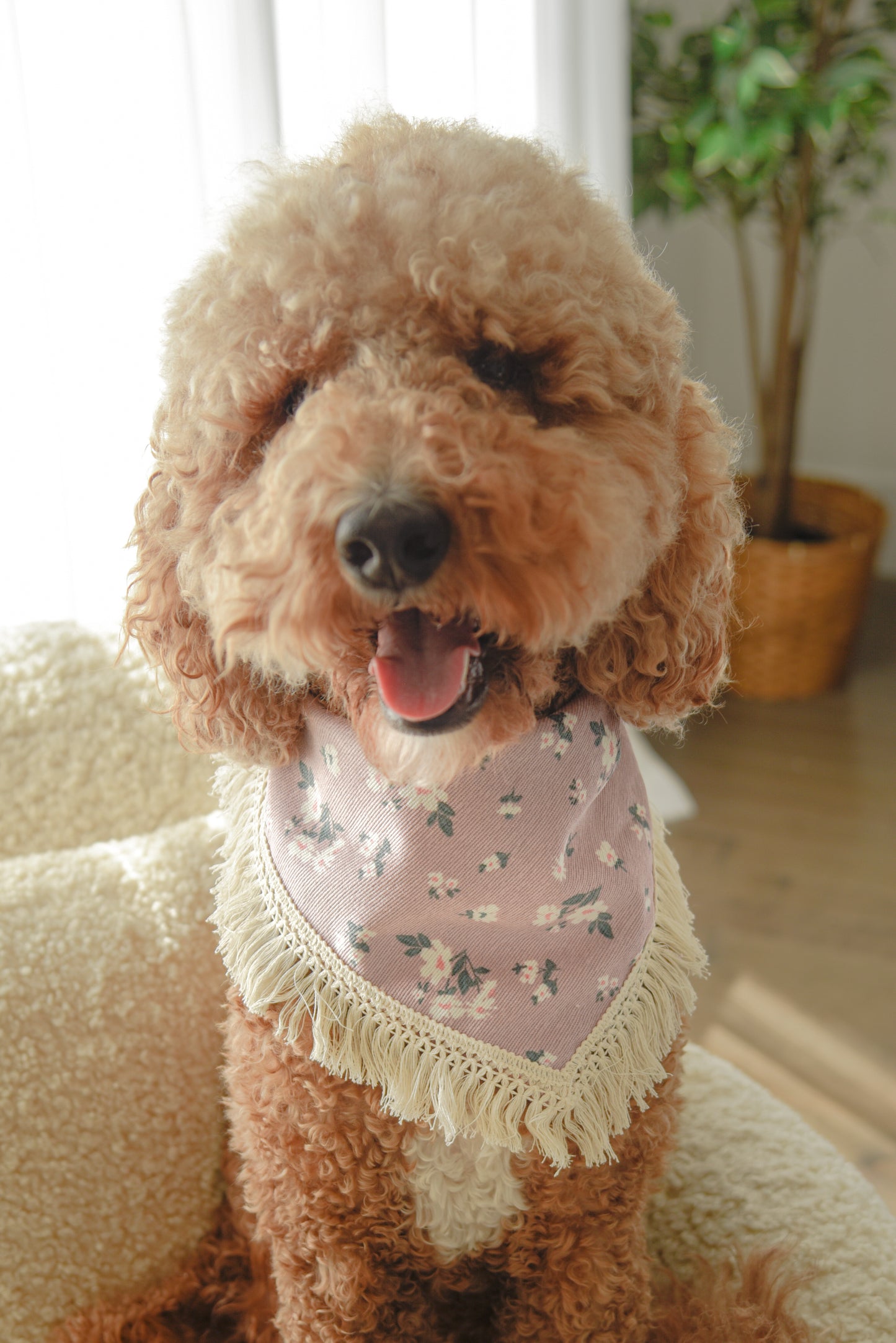 Purple Floral Corduroy Dog Tassel Bandana