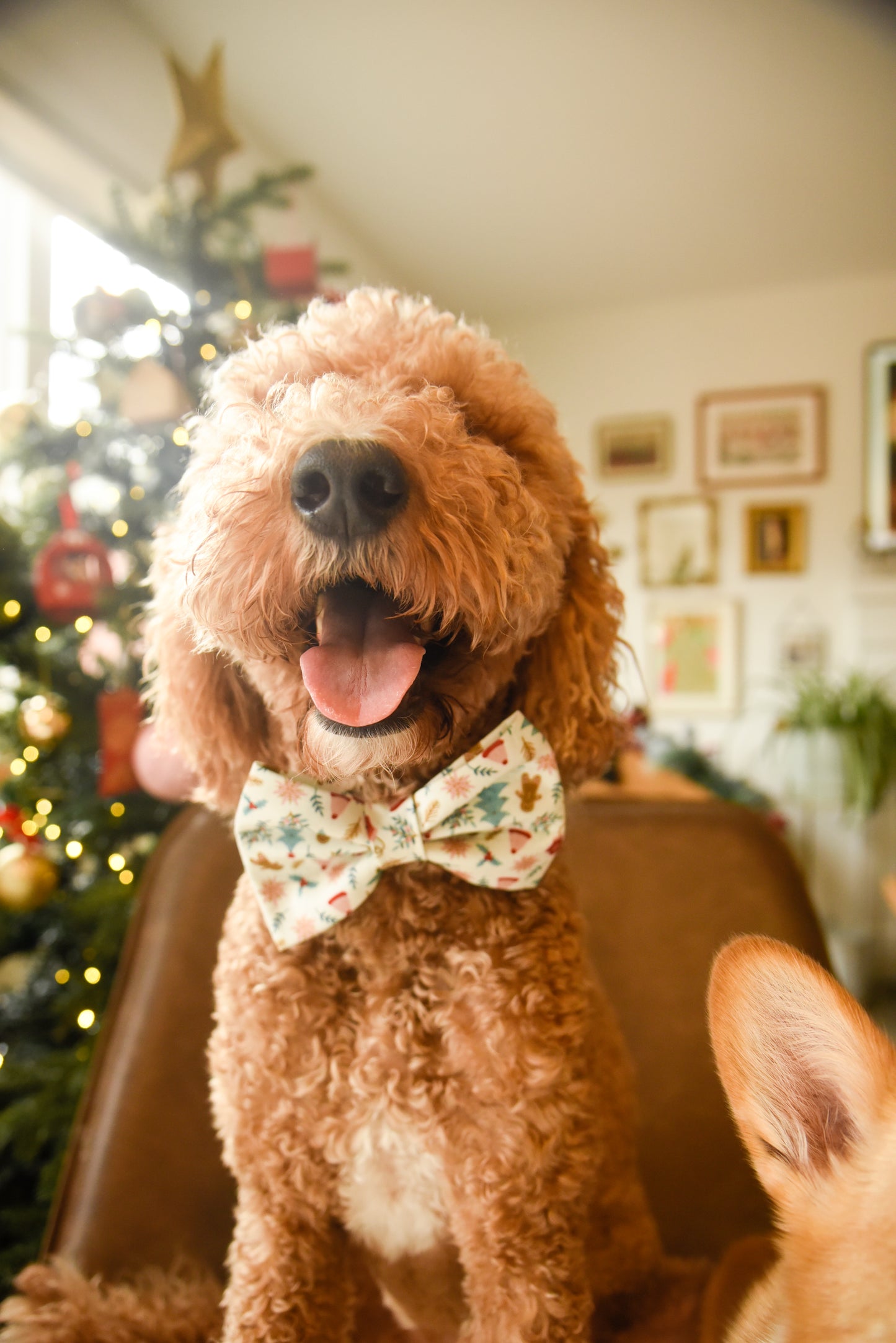 Frosty Festivities Pet Bow Tie
