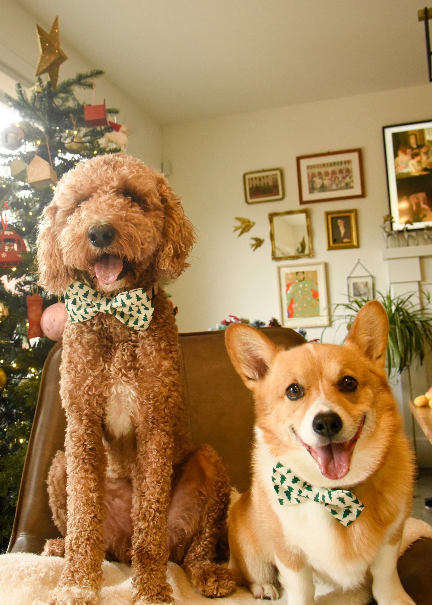 Christmas Tree Pet Bow Tie
