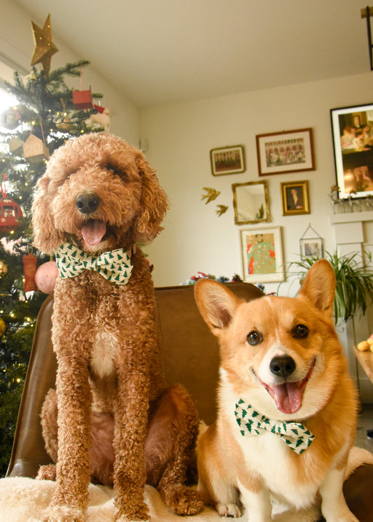 Christmas Tree Pet Bow Tie