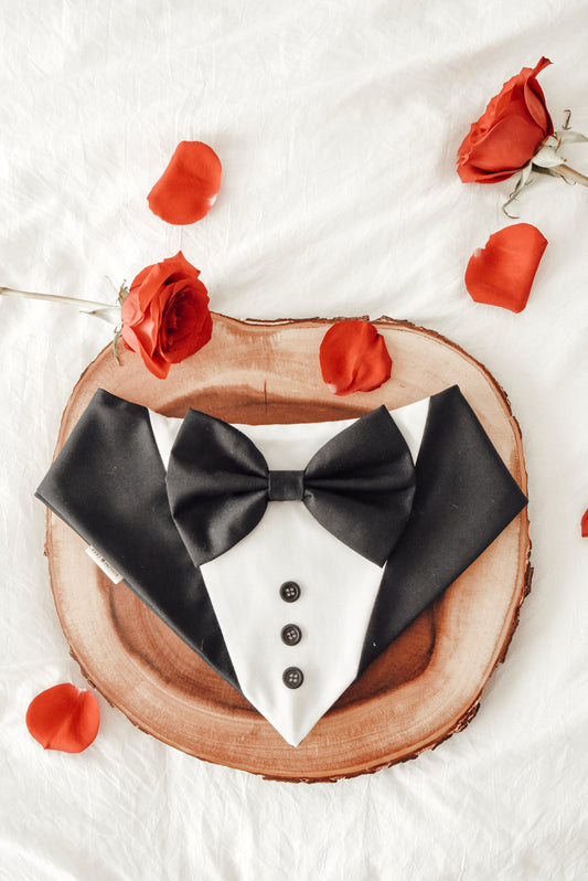 Black Dog Tuxedo, Wedding Pet Suit, Formal Dog Attire, Valentines Outfit