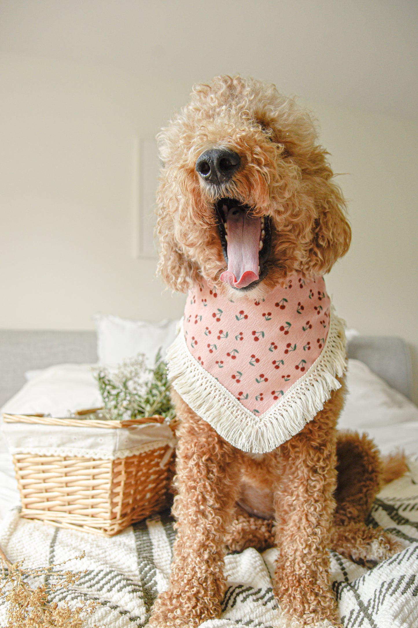 Pink Floral Corduroy Pet Tassel Bandana