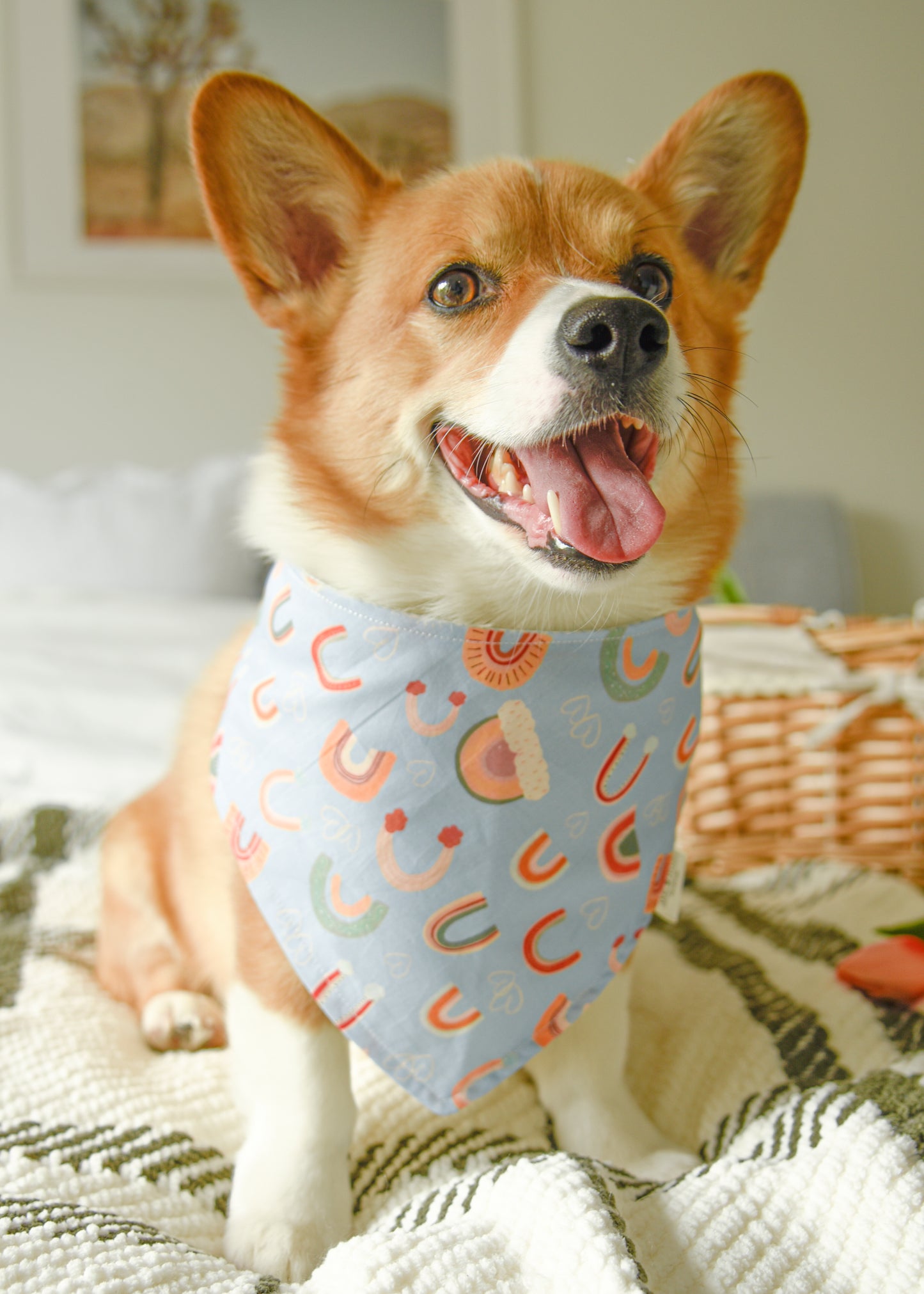 The Boho Rainbow Reversible Bandana | Snap-On Cotton Pet Scarf