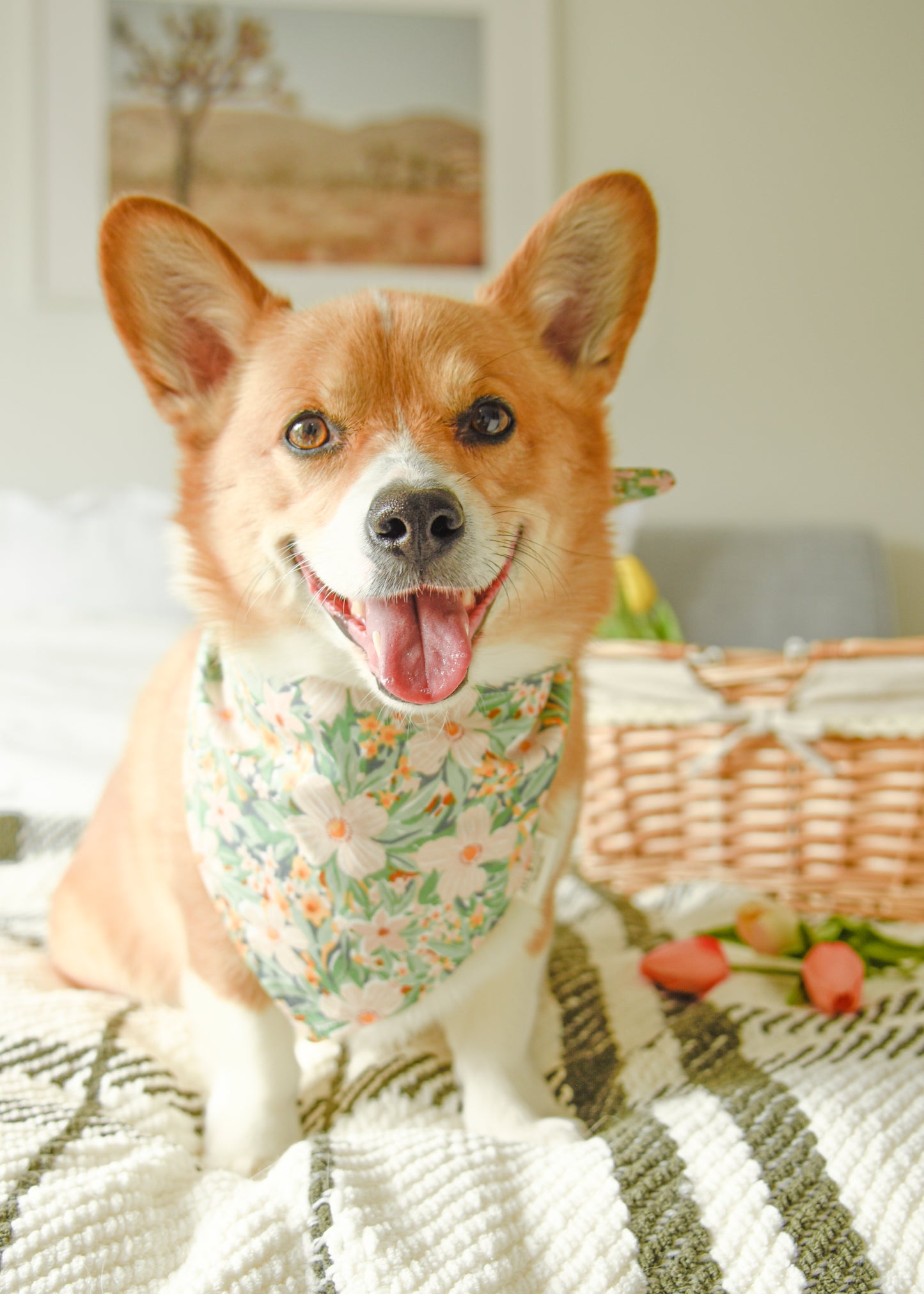 The Sage Garden Reversible Bandana | Snap-On Cotton Pet Scarf