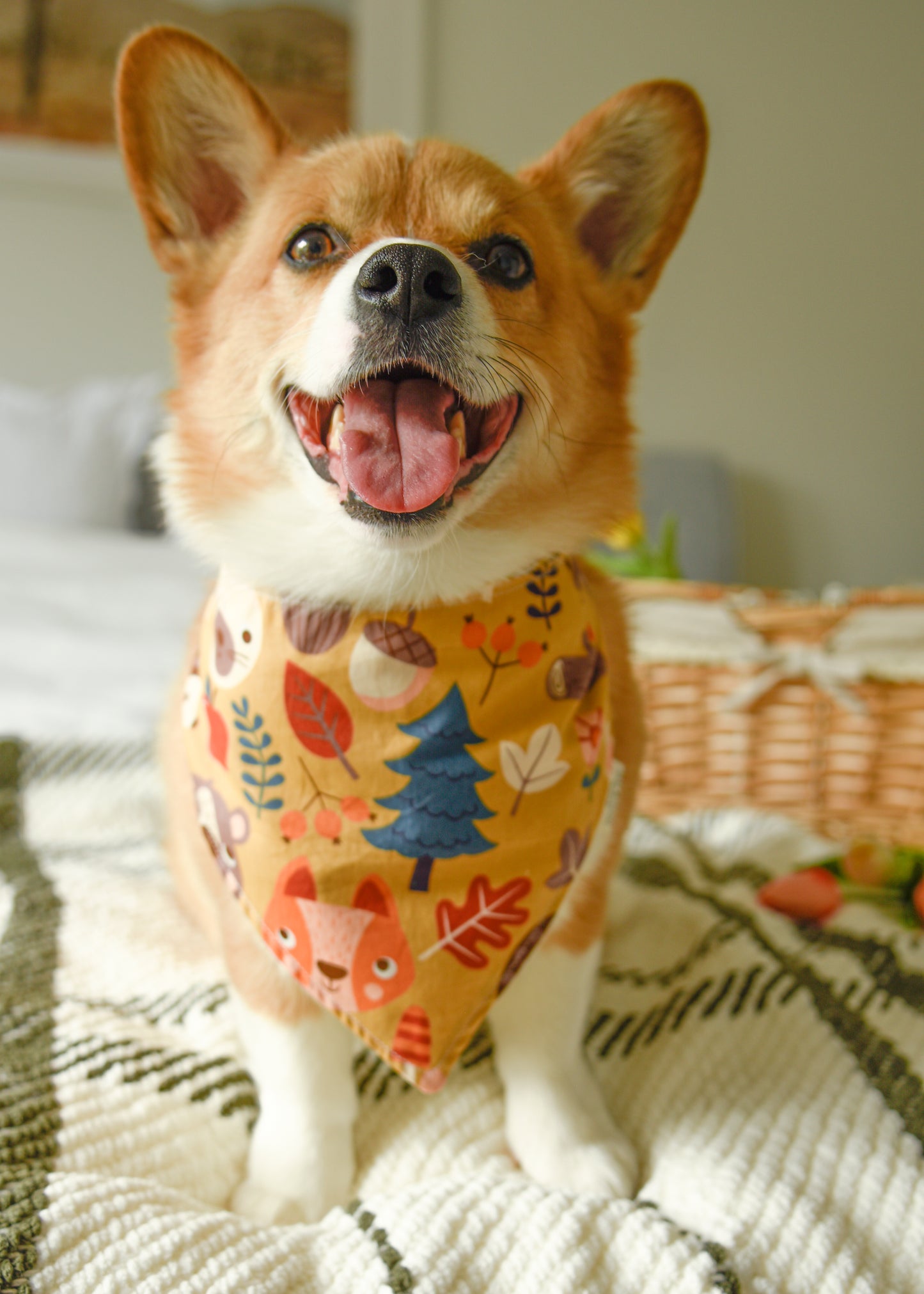 The Honeywood Forest Reversible Bandana | Snap-On Cotton Pet Scarf