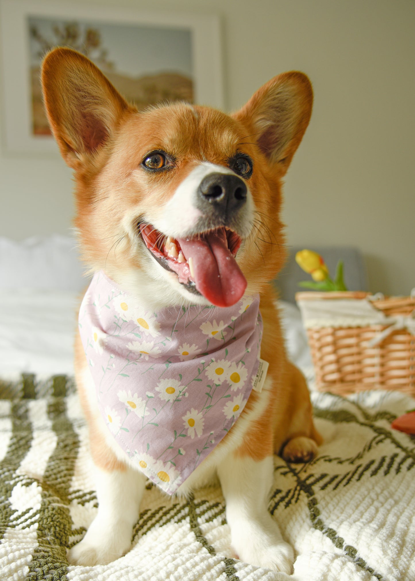 The Lavender Daisy Bandana | Snap-On Cotton Pet Scarf
