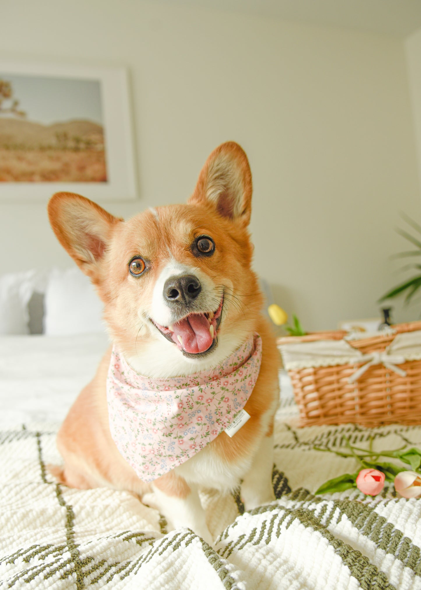 The Heirloom Rose Bandana | Snap-On Cotton Pet Scarf