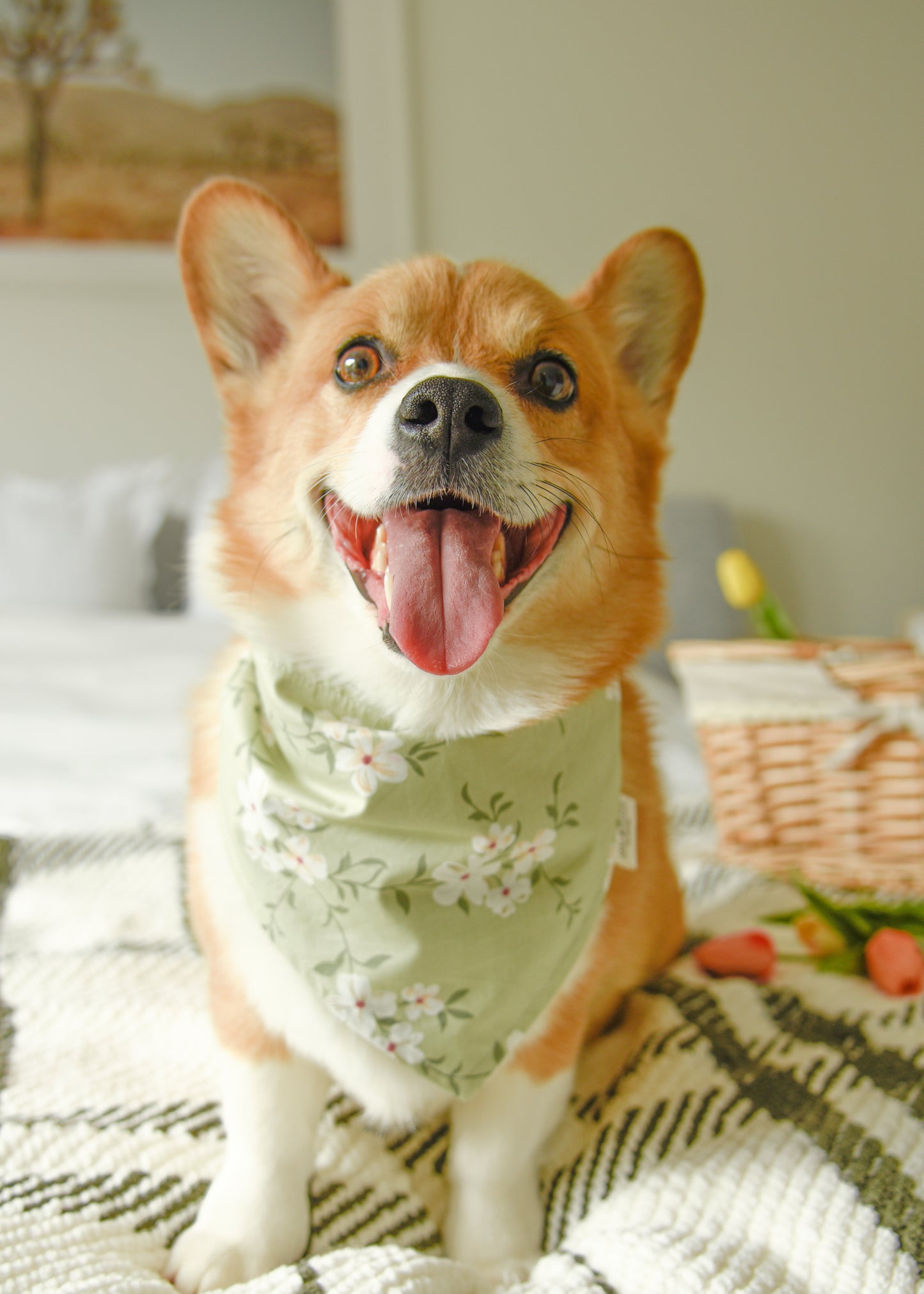 The Sage & Cherry Blossom Bandana | Snap-On Cotton Pet Scarf