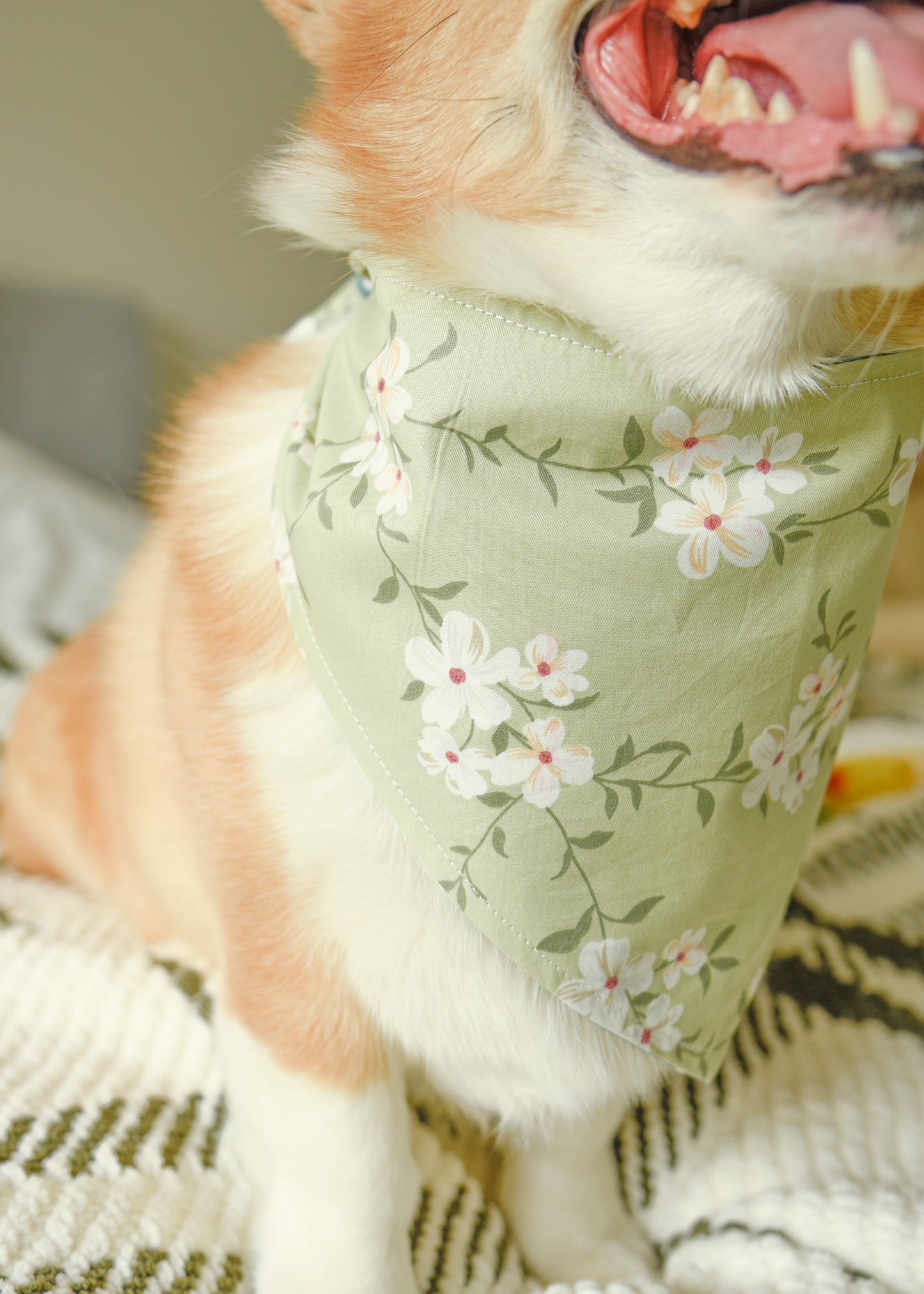 The Sage & Cherry Blossom Bandana | Snap-On Cotton Pet Scarf