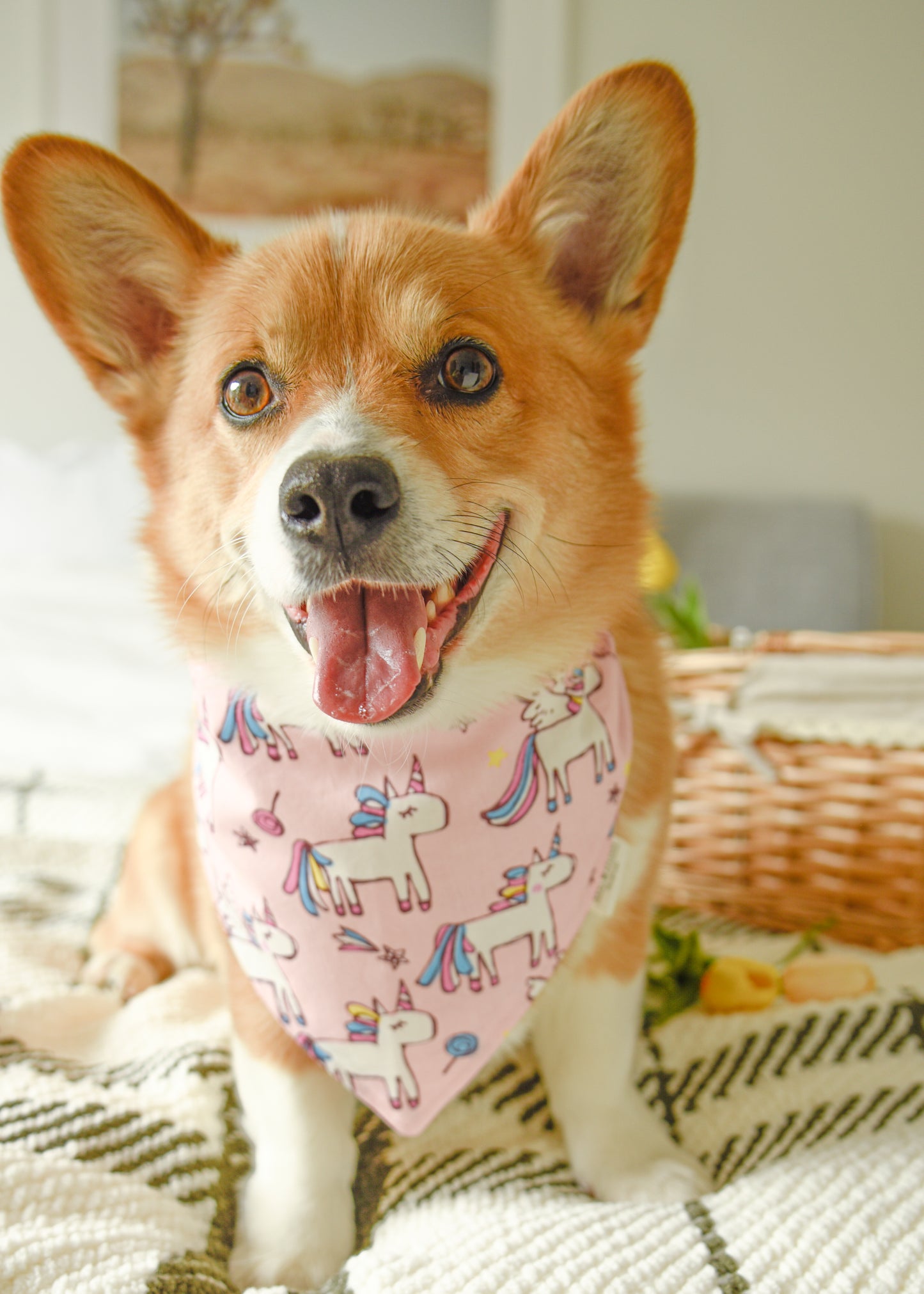 The Lollipop Pegasus Bandana | Snap-On Cotton Pet Scarf