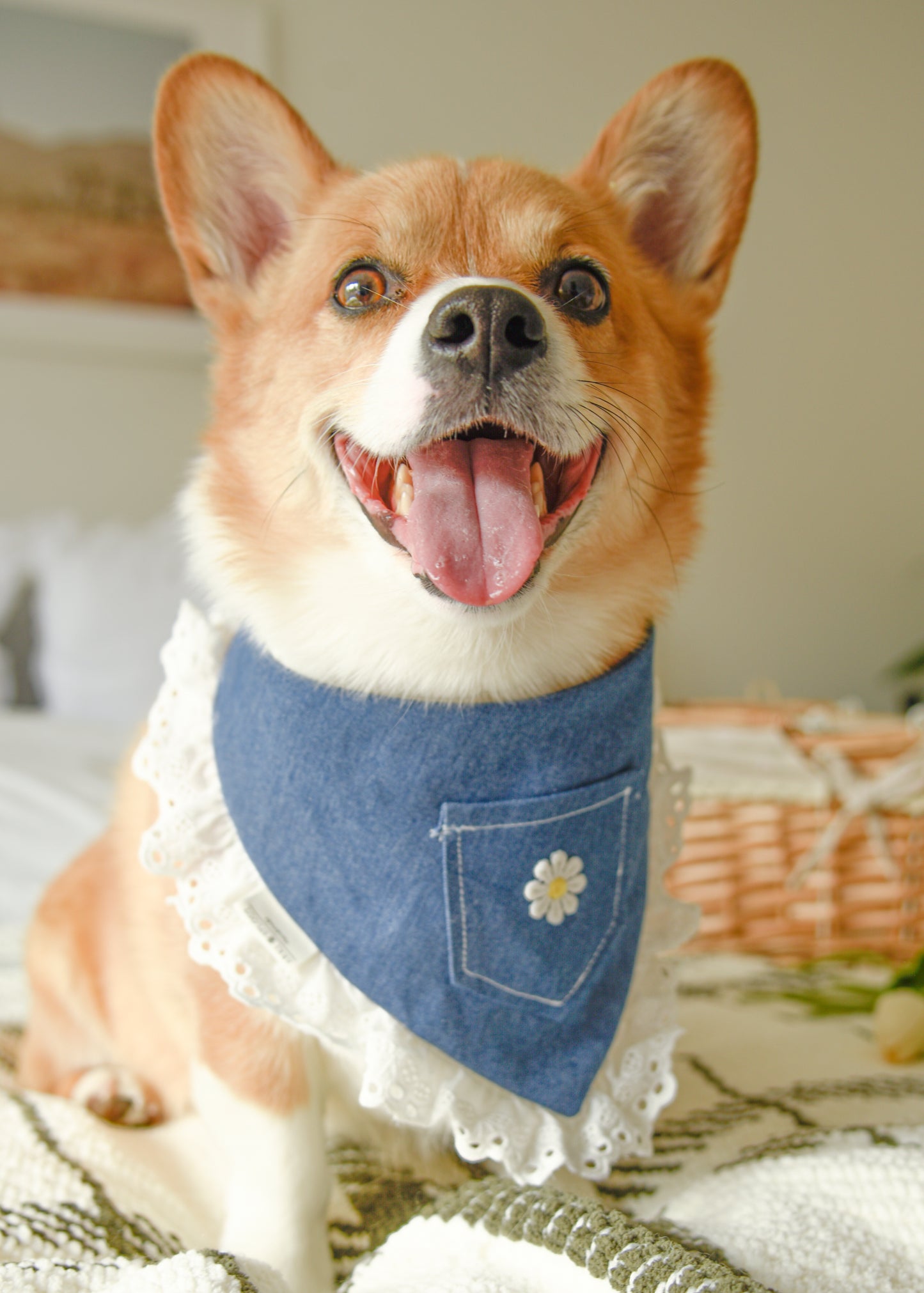 Denim Pet Bandana with Lace Trim & Pocket