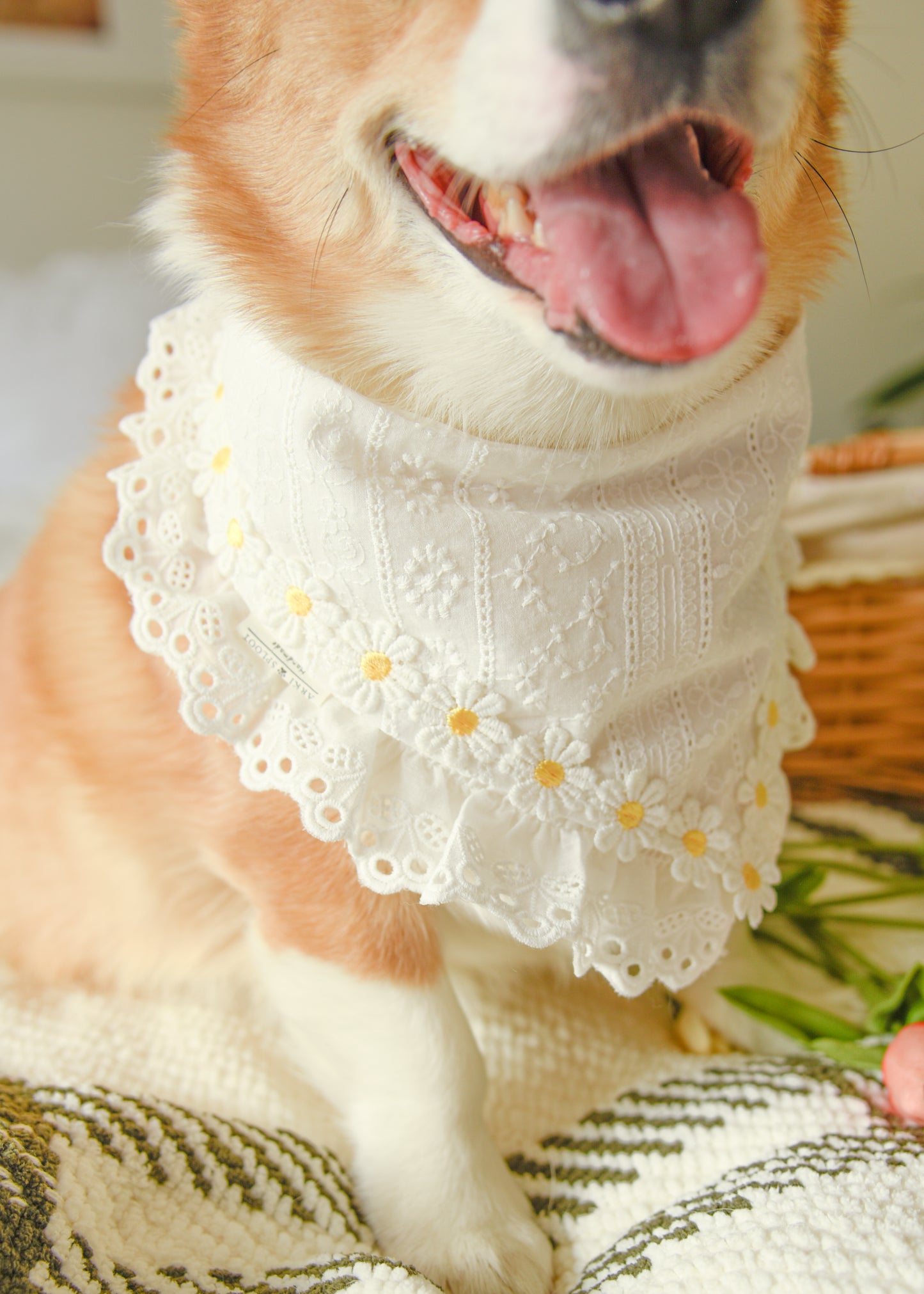 Daisy Pet Bandana with Embroidered Lace Trim