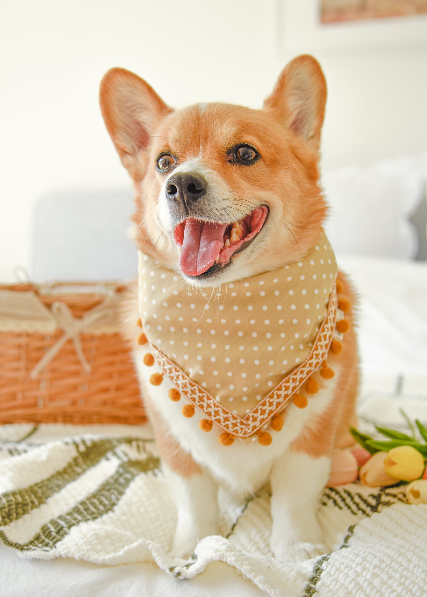Latte Polka Dot Pom Pom Pet Bandana