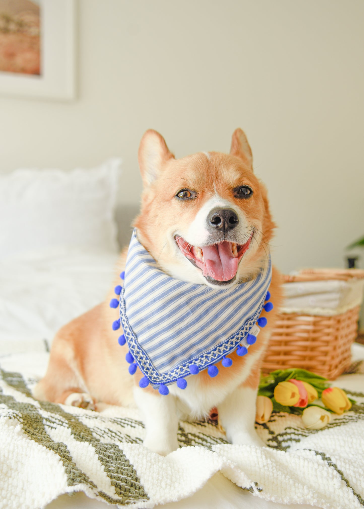 Blue Stripe Pom Pom Pet Bandana