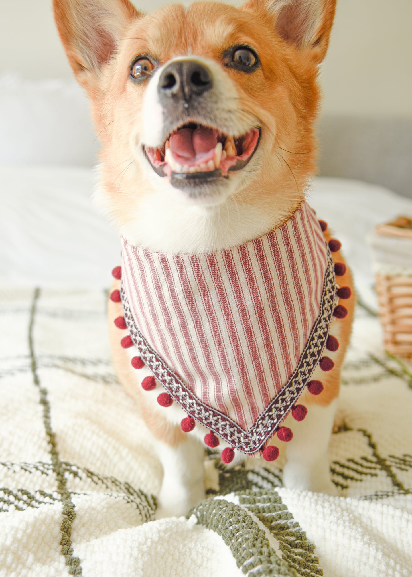 Wine Stripe Pom Pom Pet Bandana