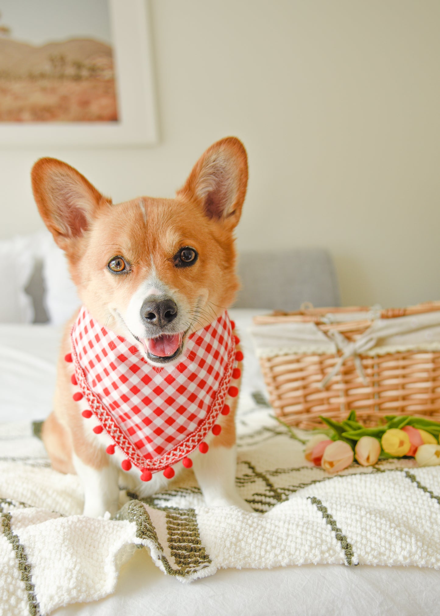 Red Gingham Pom Pom Pet Bandana