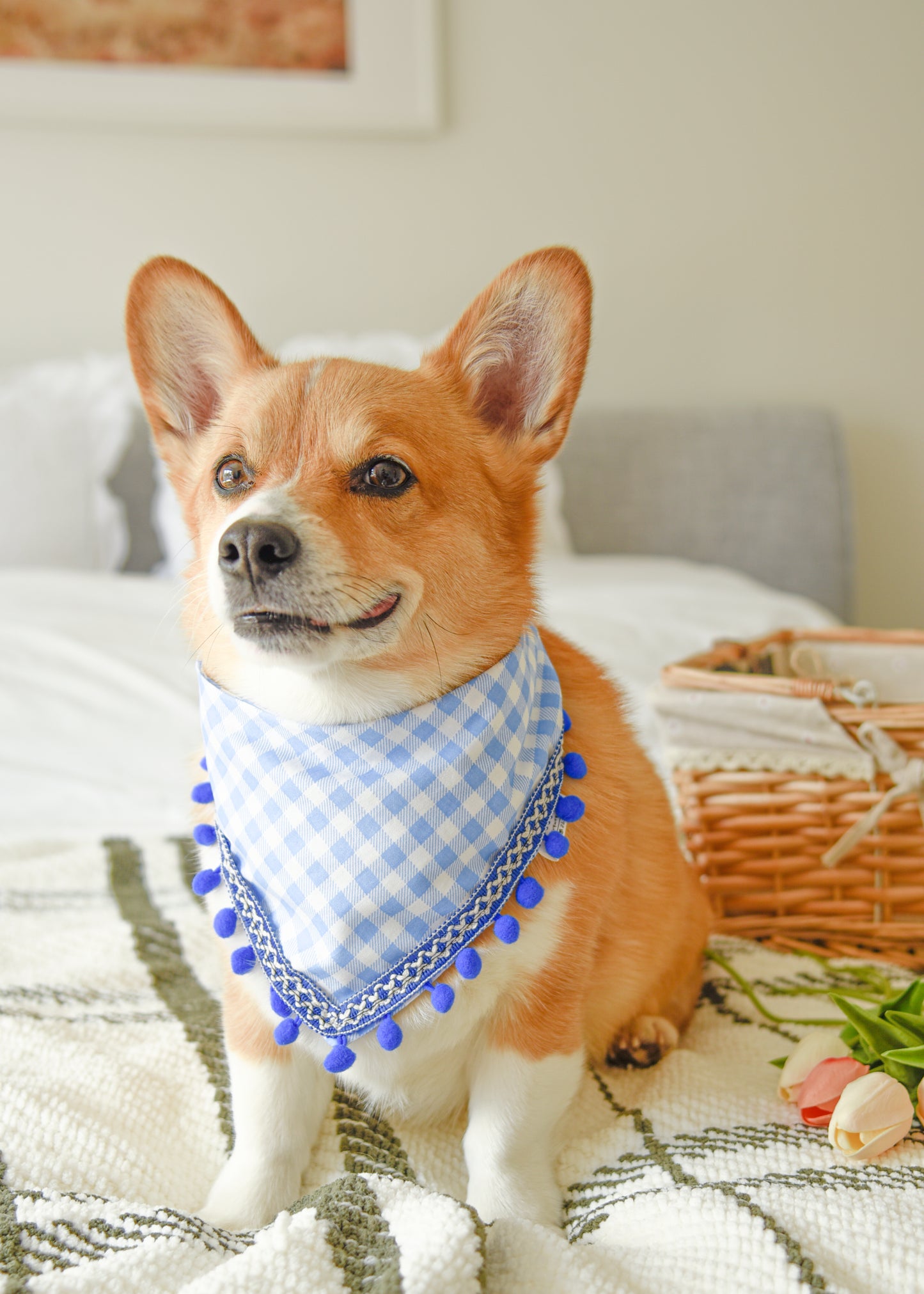 Blue Gingham Pom Pom Pet Bandana
