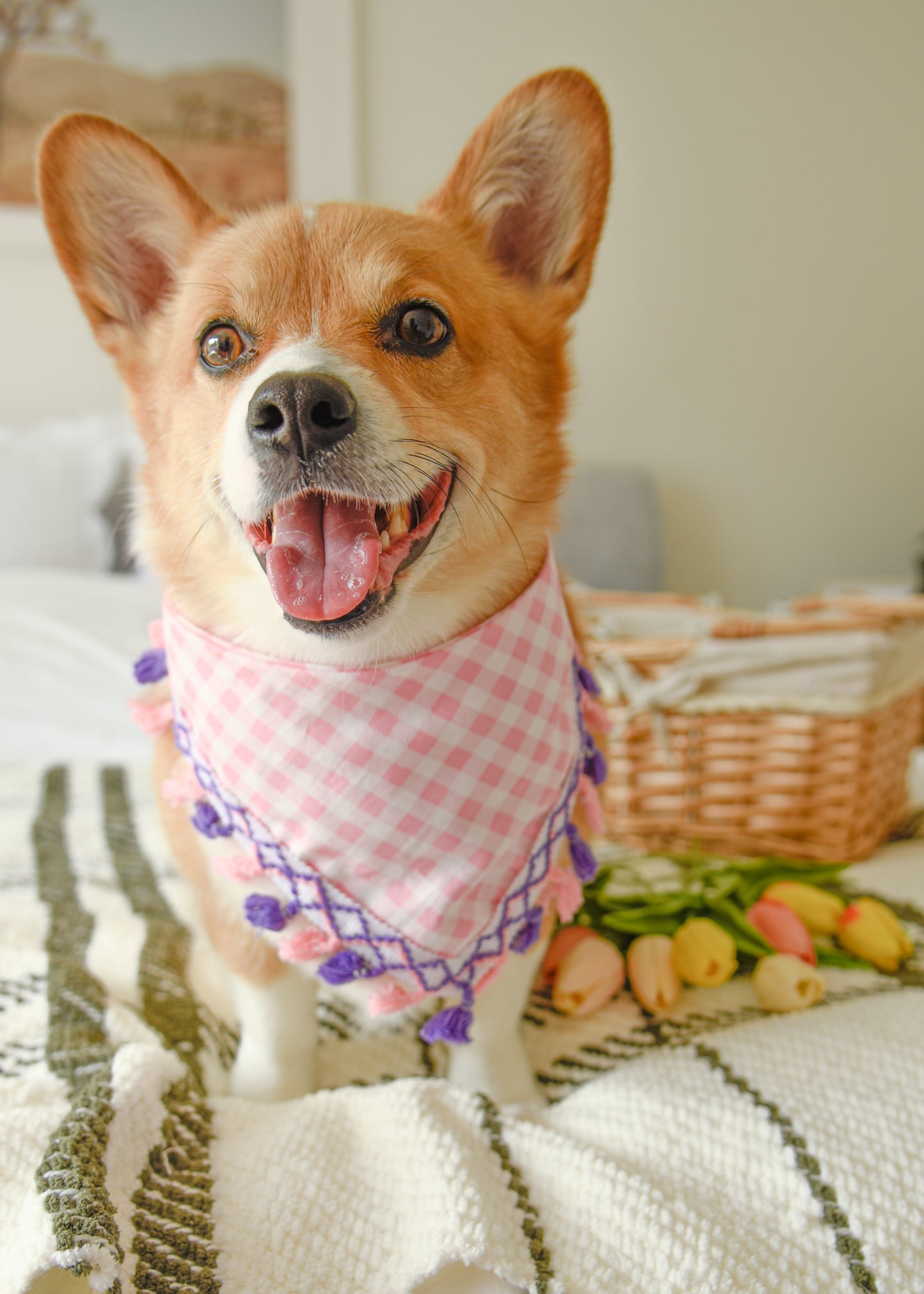 Pink Gingham Dog Tassel Bandana