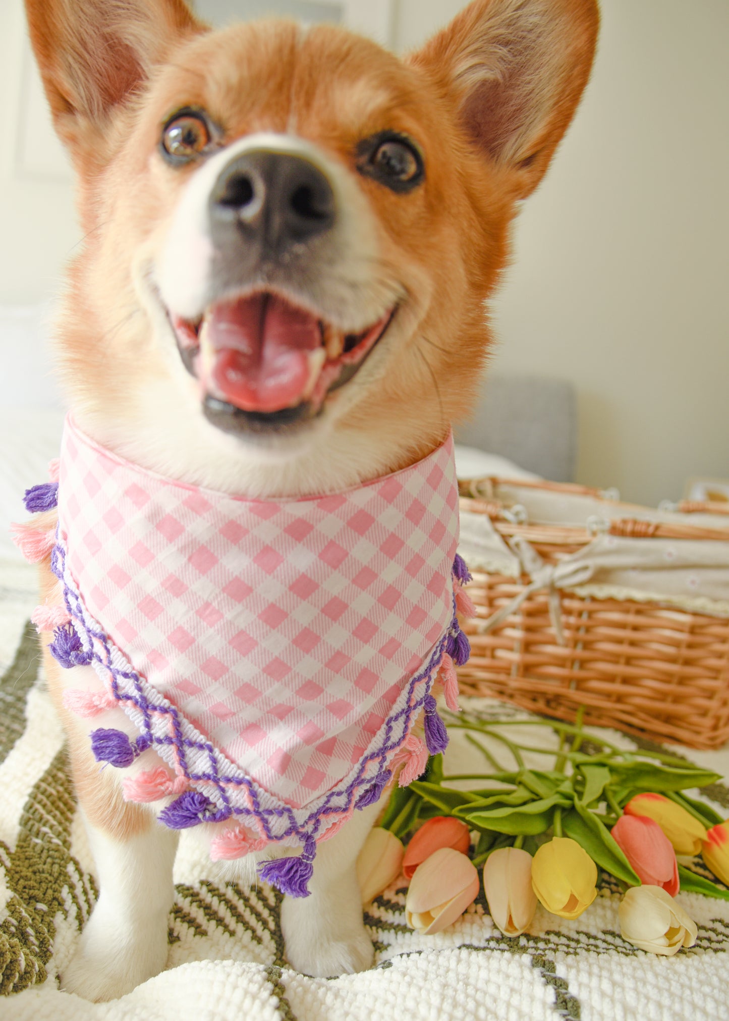 Pink Gingham Dog Tassel Bandana