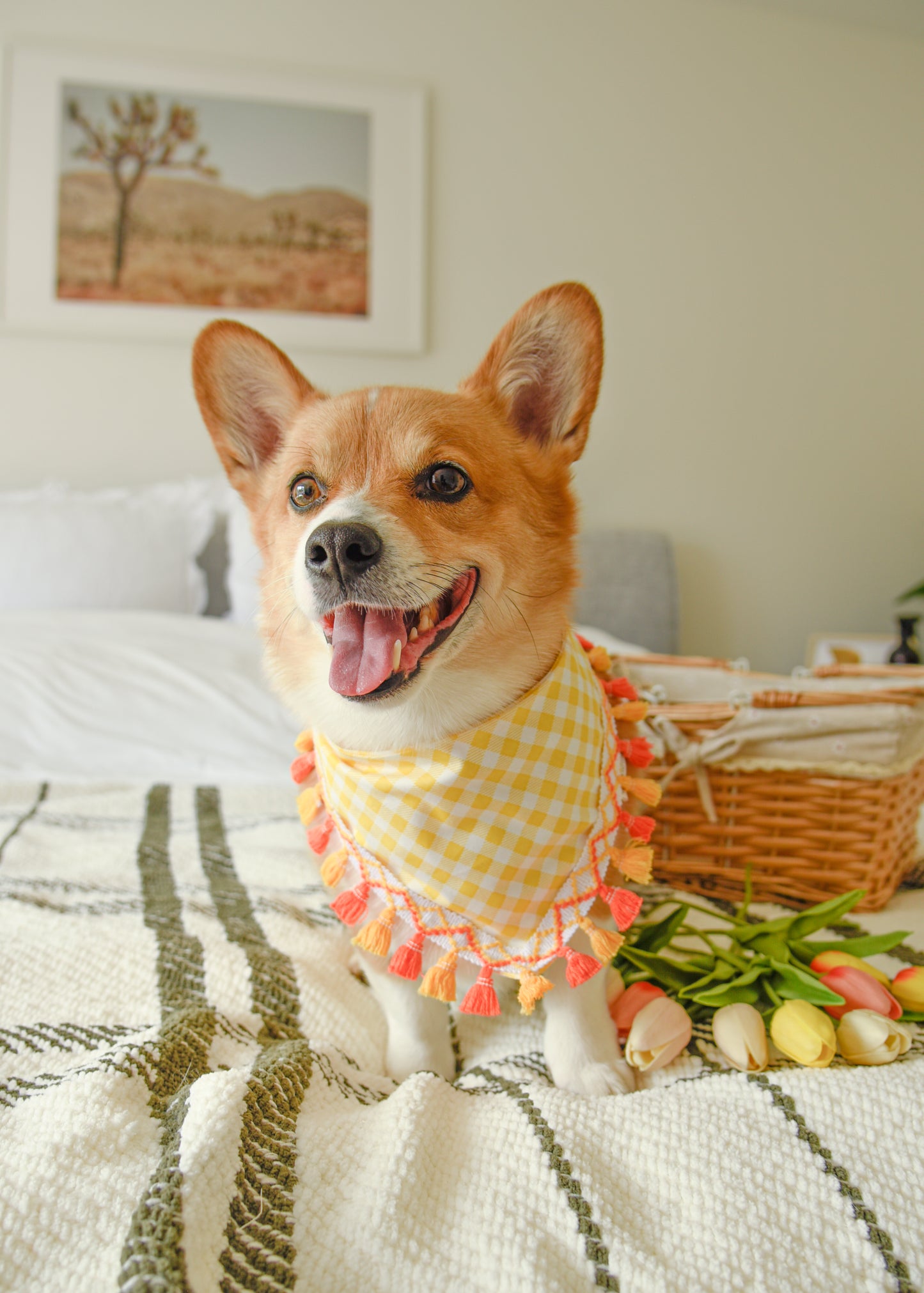 Orange Gingham Dog Tassel Bandana