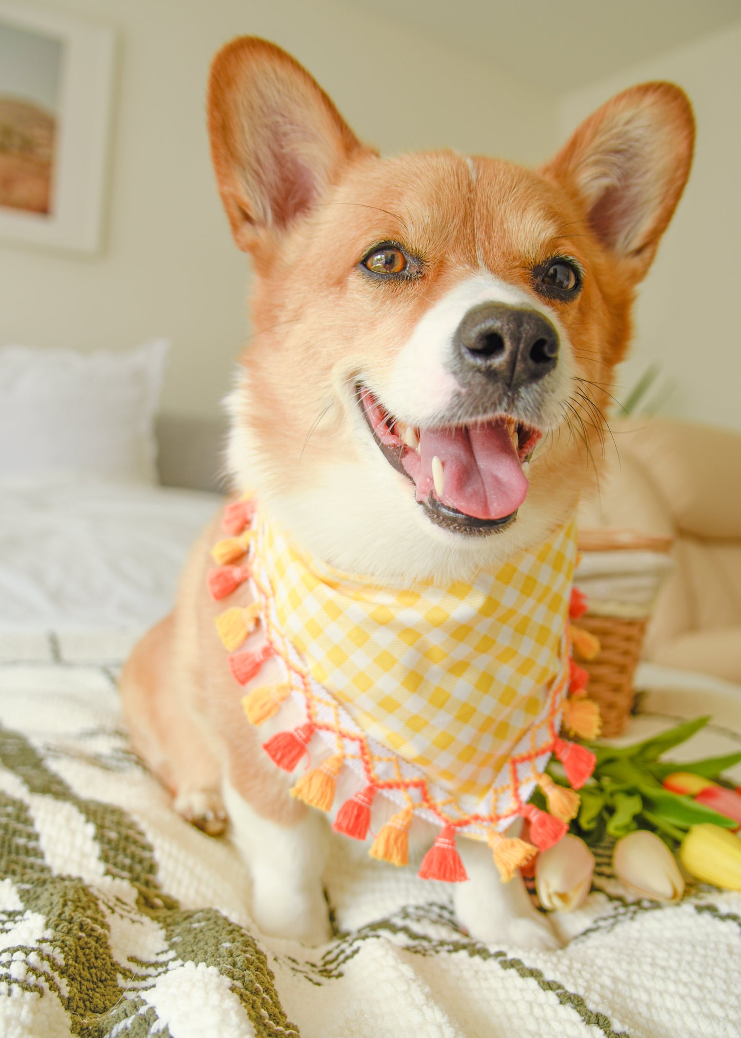 Orange Gingham Dog Tassel Bandana