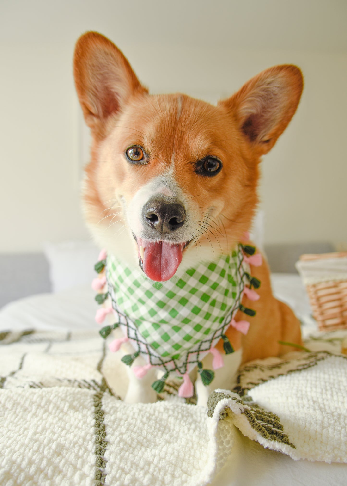 Green Gingham Dog Tassel Bandana