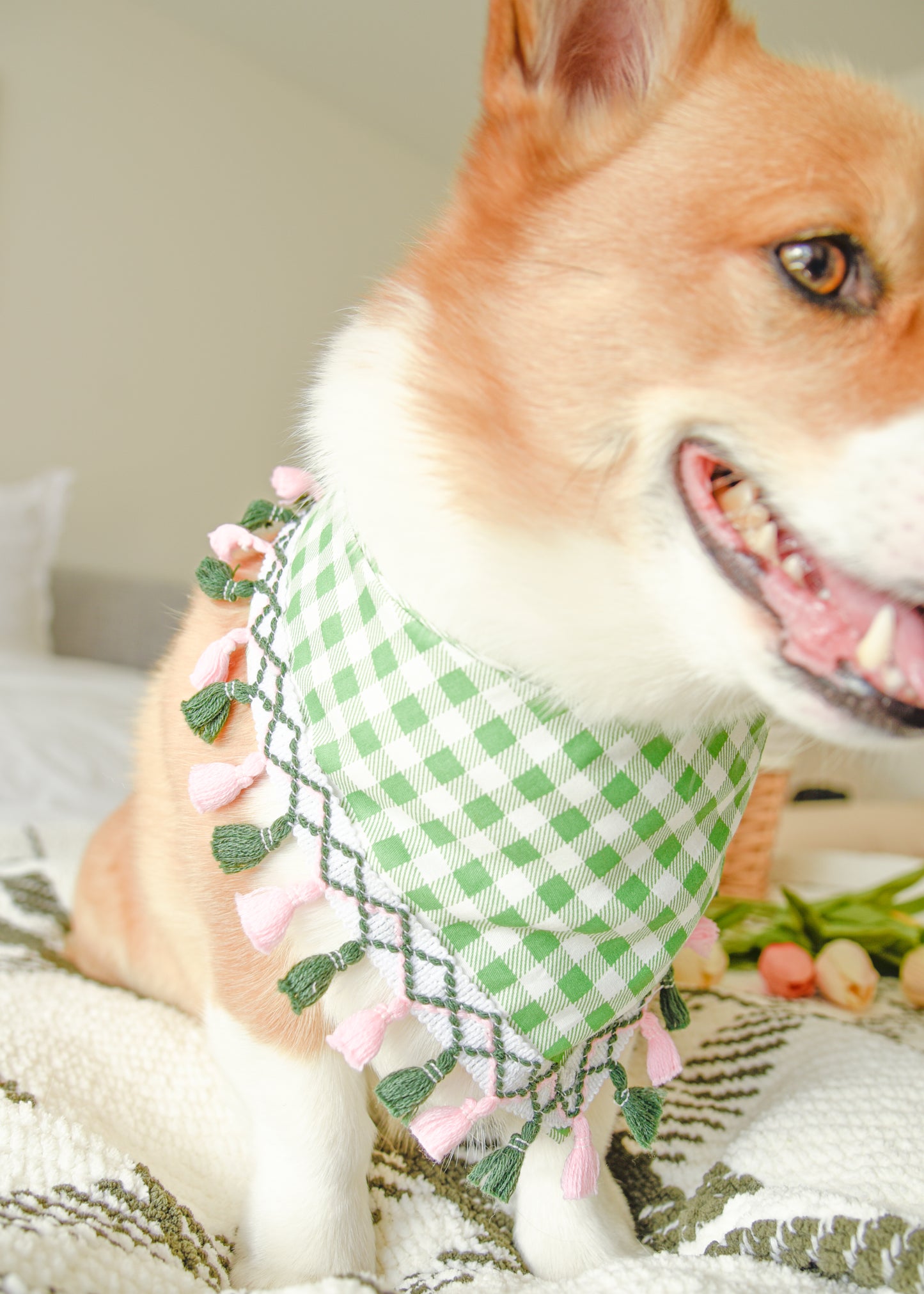 Green Gingham Dog Tassel Bandana