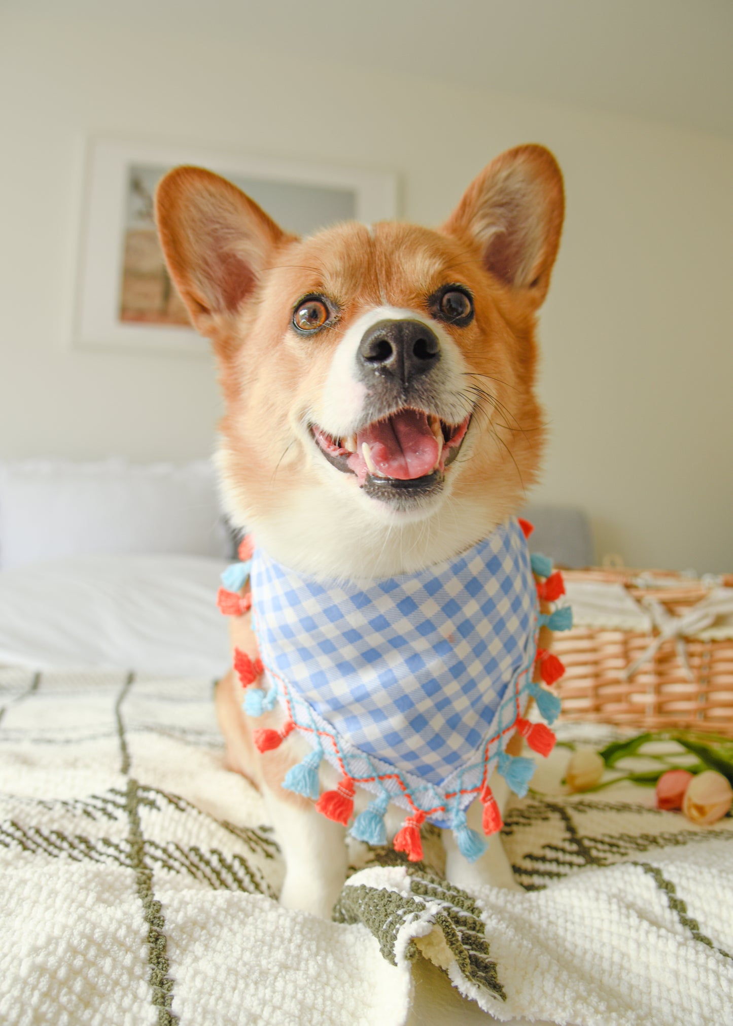 Blue Gingham Dog Tassel Bandana