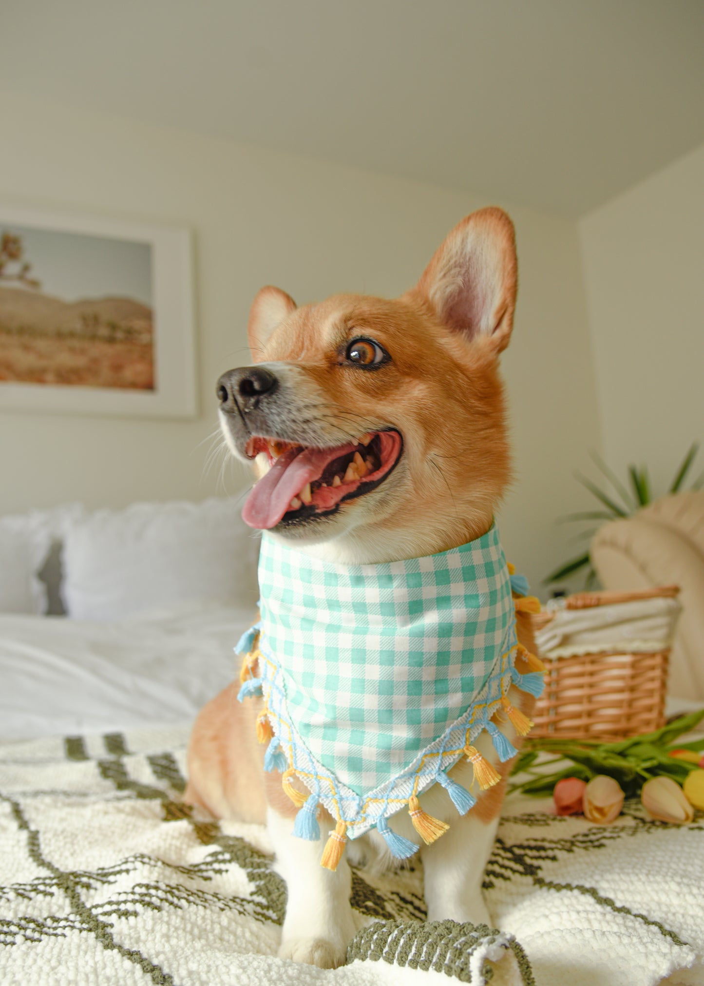 Aqua Gingham Dog Tassel Bandana
