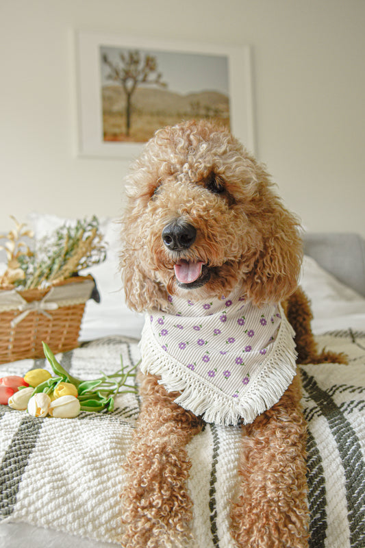 Floral Corduroy Pet Bandana with Tassel: Snap-On Dog Cat Bandana