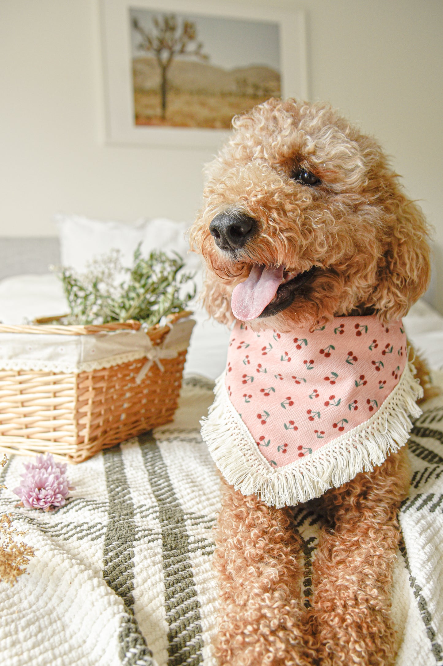 Cherry Corduroy Dog Bandana with Tassel: Snap-On Summer Pet Scarf