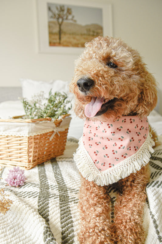 Cherry Corduroy Dog Bandana with Tassel: Snap-On Summer Pet Scarf