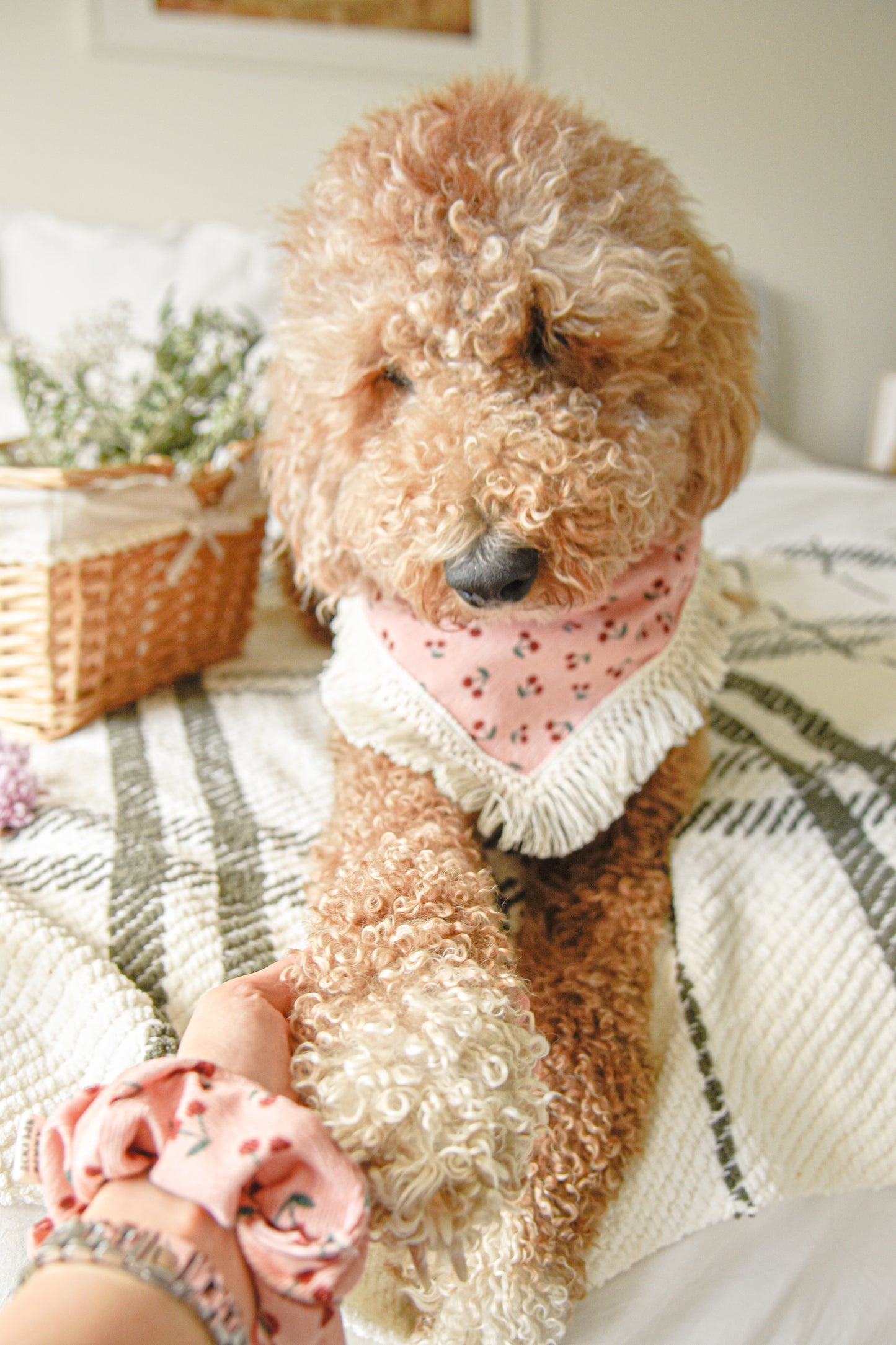 Cherry Corduroy Dog Bandana with Tassel: Snap-On Summer Pet Scarf