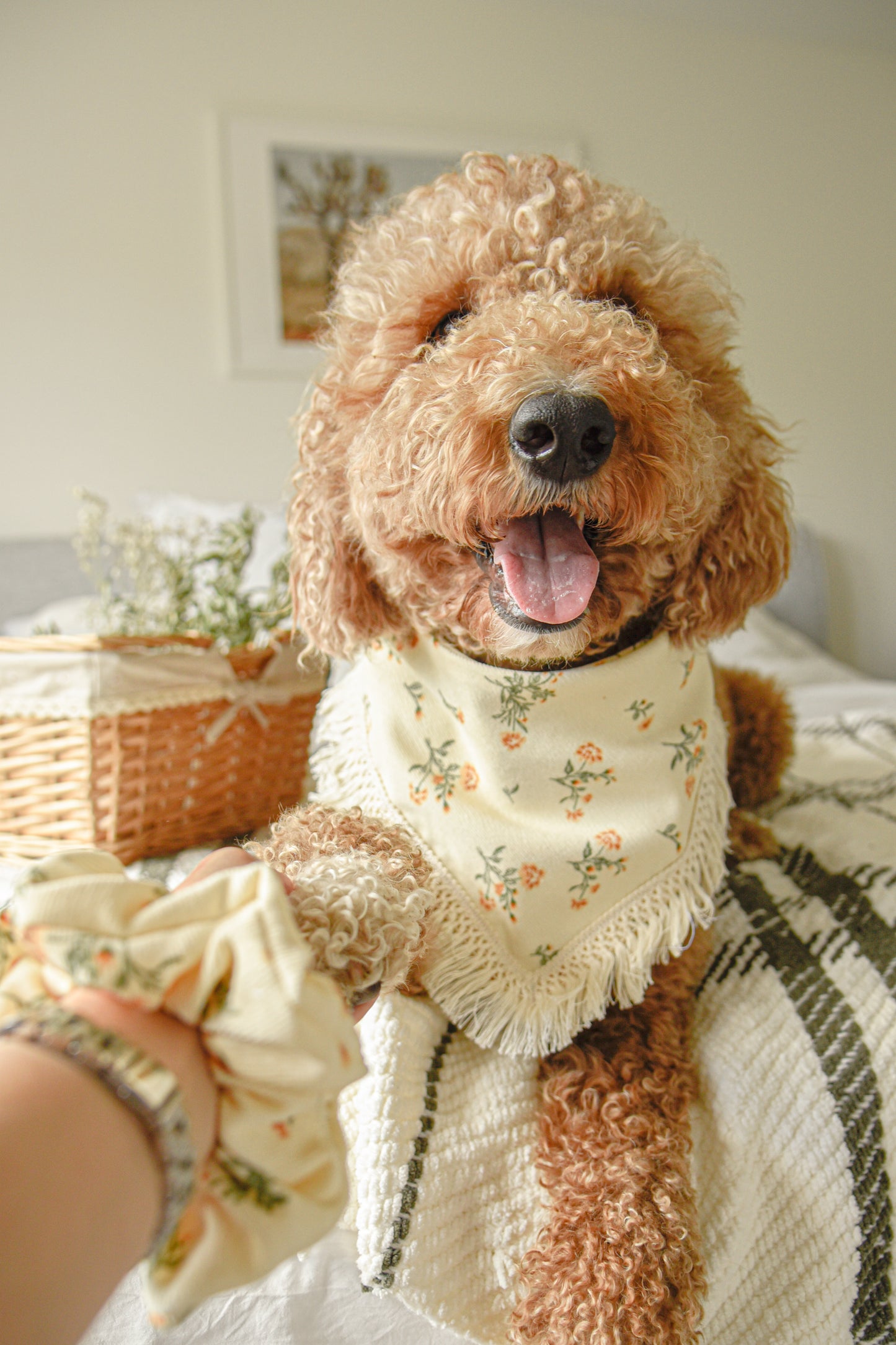 English Cream Floral Corduroy Pet Tassel Bandana