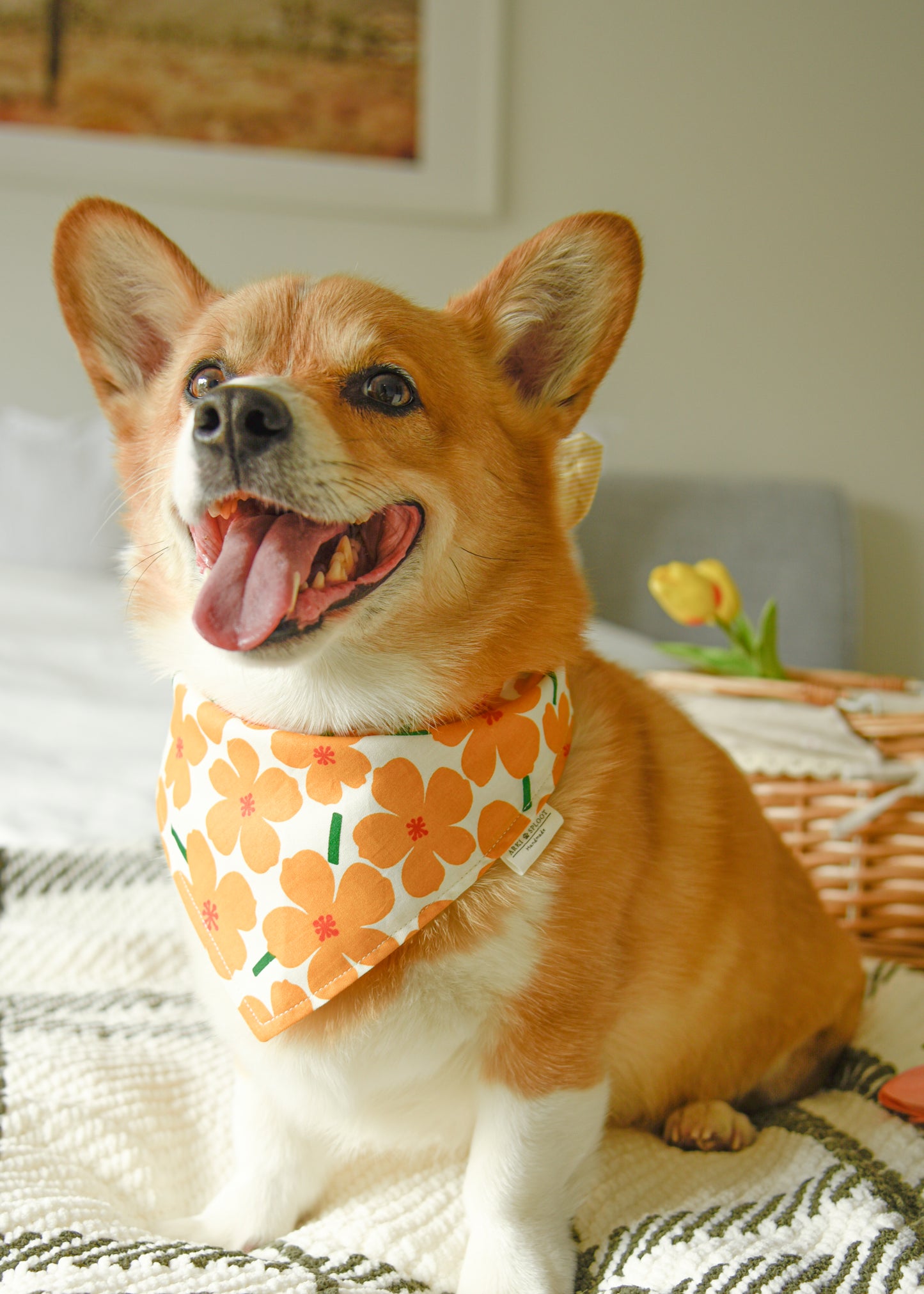 Clementine Bloom Reversible Bandana | Snap-On Cotton Pet Scarf