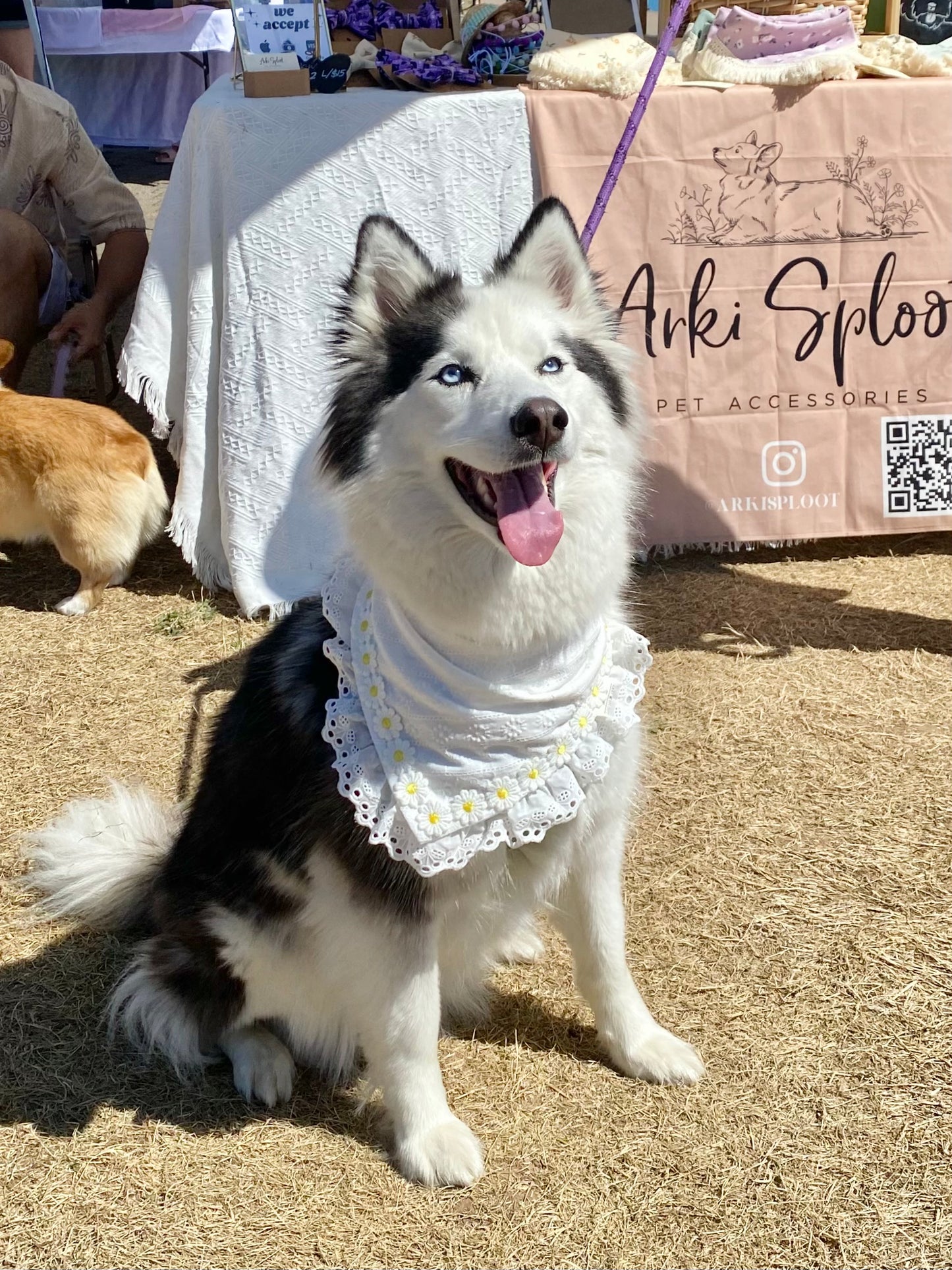 Daisy Pet Bandana with Embroidered Lace Trim