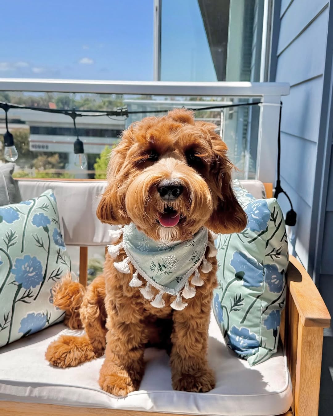 Floral Dog Bandana: Cotton Tassel Fringe, Boho Style