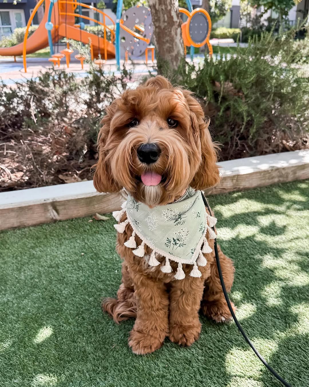 Floral Dog Bandana: Cotton Tassel Fringe, Boho Style