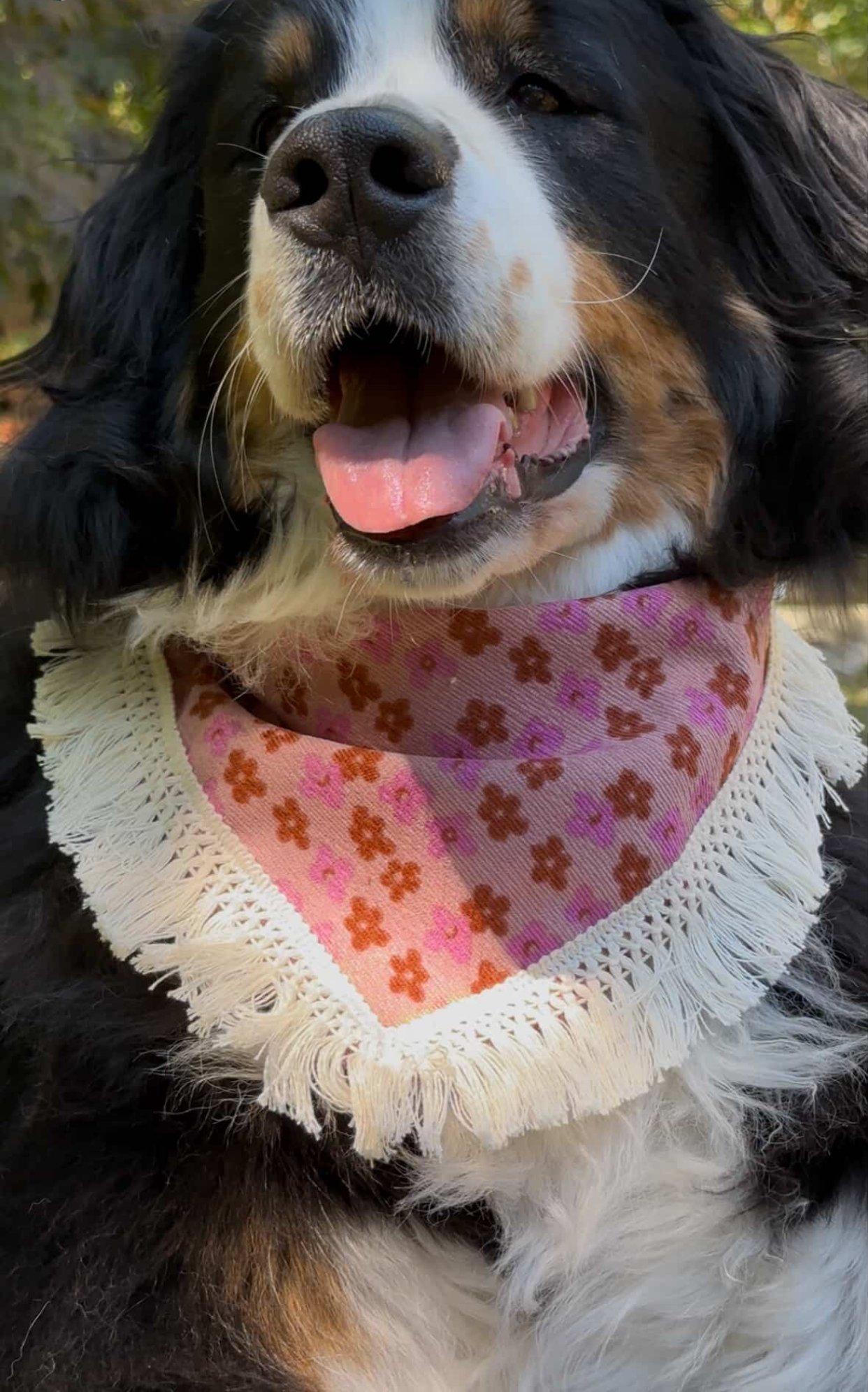 Plum Floral Corduroy Tassel Dog Bandana