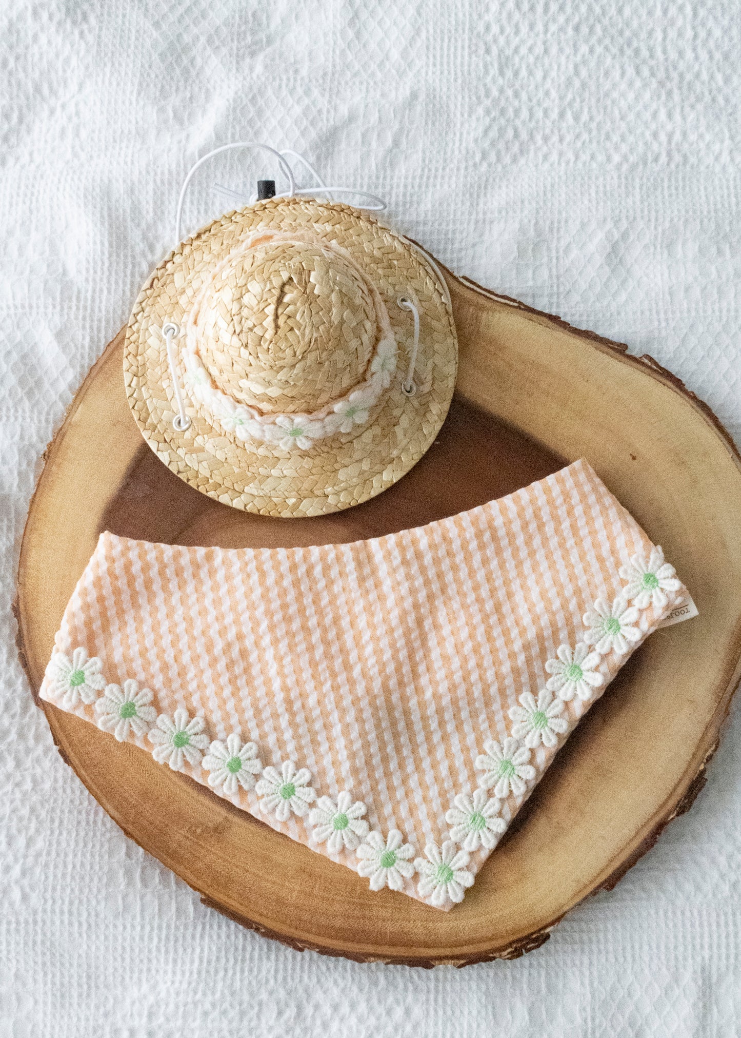Green/Orange Stripe Cotton with Embroidered Daisy Trim, Pet Bandana